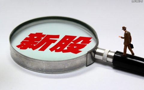 中国国际期货公司排名